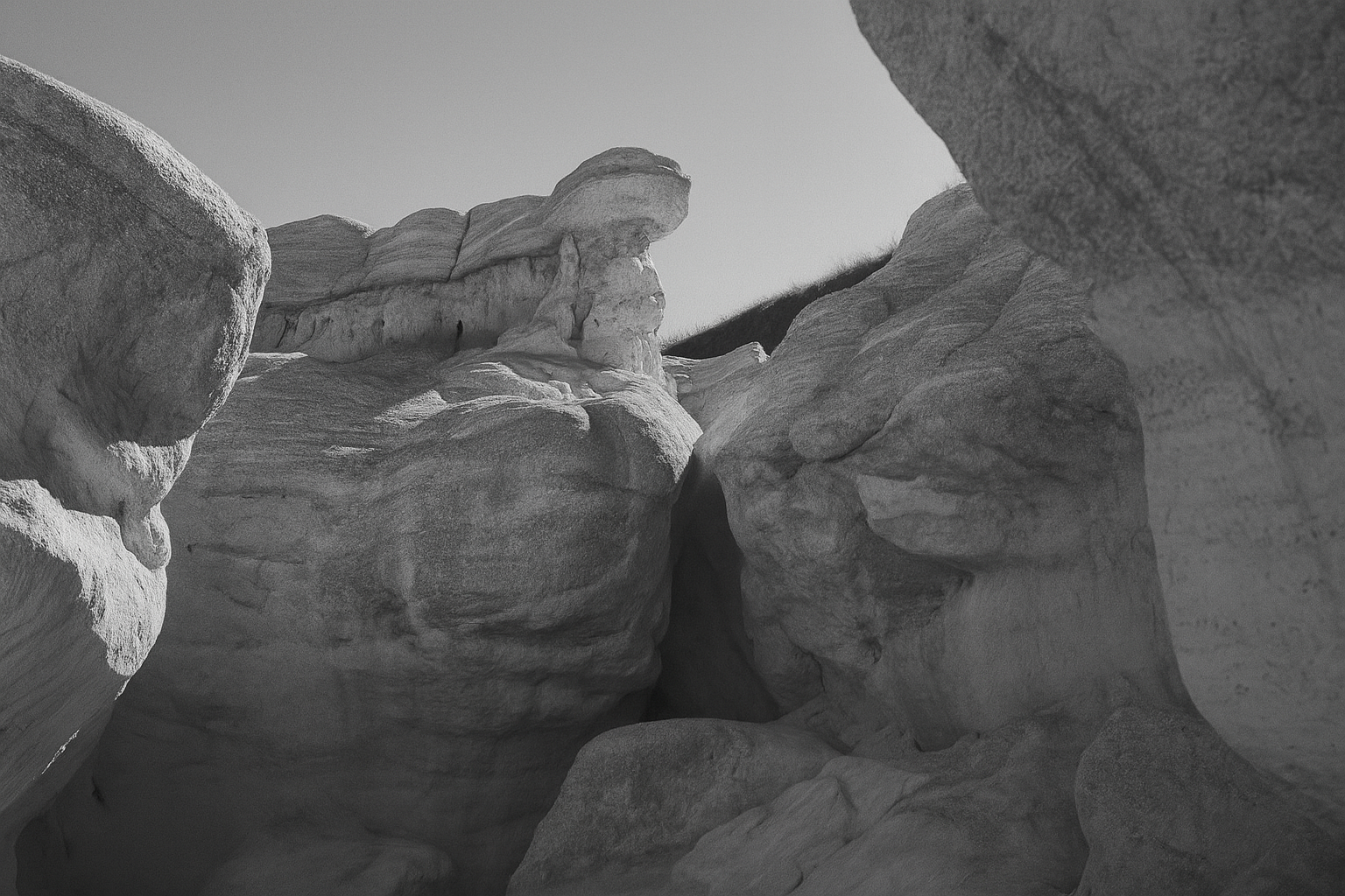 Word of the day: movement